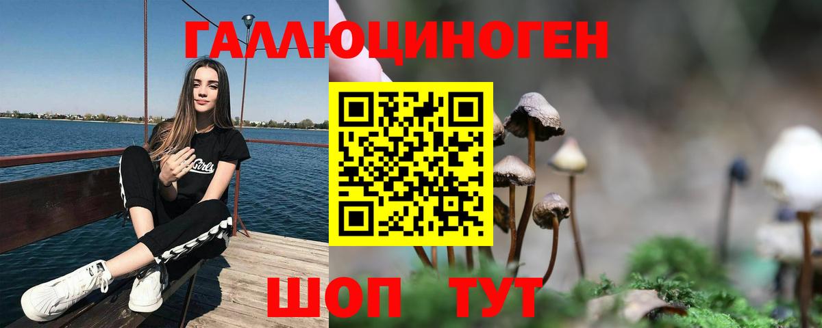 продажа наркотиков  Галлюциногенные грибы Psilocybe  Вход с VPN  Богородск 